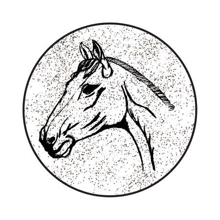 The stylized head of a horse vector illustrationのイラスト素材