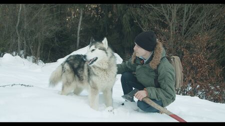 The guy walks with his dog in the forestの写真素材