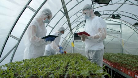 Young farmers checking plants in new greenhouseの写真素材
