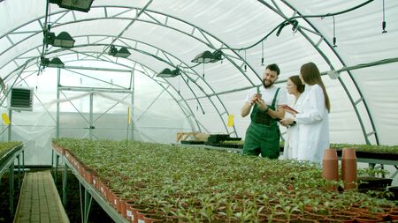 Farmer showing growing crops to young scientistsの写真素材