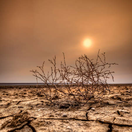 HDR Sunset on the dry lake, Manych Gudiloの写真素材