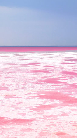 Pink lake, incredible natural landscape. The salt lake turned pink.