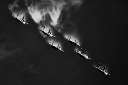 Performance of the aerobatic team Russian Knights, Russian Air Force. On planes Sukhoi Su-30SM, NATO...