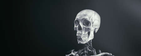 Skeleton of a man on a black background. A real human skeleton.の写真素材