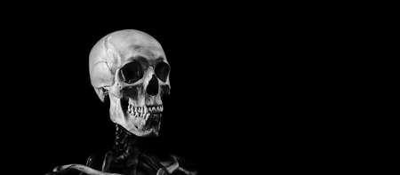 Skeleton of a man on a black background. A real human skeleton.の写真素材