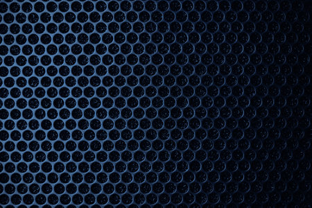 Safety net on the music speaker. Protective grid audio speakers. Close view of Black safety net. Metal perforated mesh, abstract pattern, Abstract black background. Professional audio equipmentの写真素材