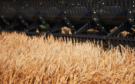 Agricultural combine harvester in the field during harvest ripe wheat. Combine working on a wheat field. Harvester during harvesting. Combine Harvester harvesting crops. Closeup of the harvesting toolの写真素材