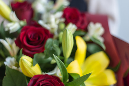 flowers in handsの写真素材