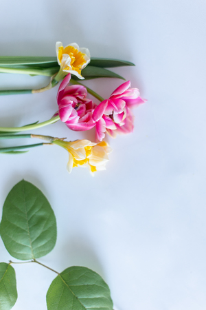 fresh colorful flowers backgroundの写真素材