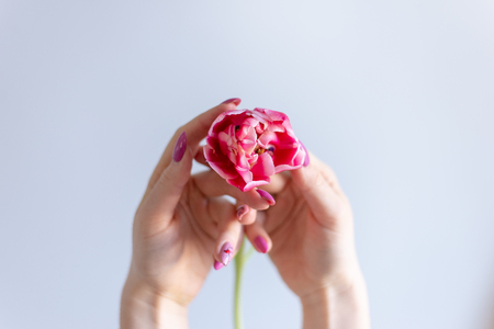flowers in handsの写真素材