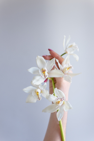 flowers in handsの写真素材