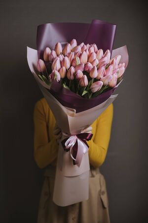 pink tulip on gray backgroundの写真素材