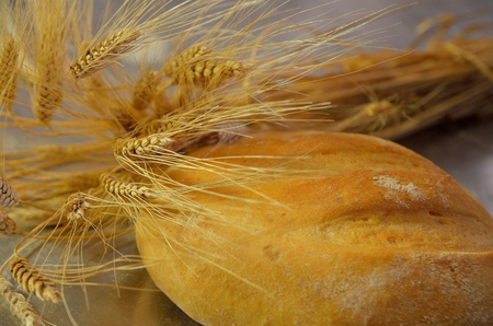 Bread. Bakery. Bakery plant. Production of bread. Fresh white bread from the ovenの写真素材