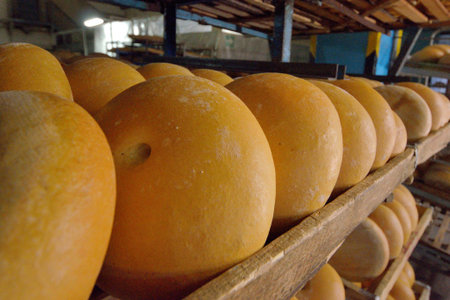 Bread. Bakery. Bakery plant. Production of bread. Fresh white bread from the oven