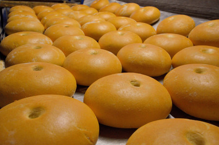 Bread. Bakery. Bakery plant. Production of bread. Fresh white bread from the oven