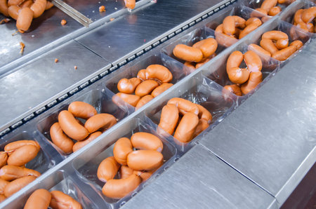 Sausages. Packing line of sausage. Industrial manufacture of sausage products