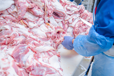Meat deboning shop. Butcher. Butchers are cutting pork. Line of production of sausage delicacies.の写真素材