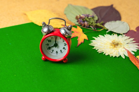 Back to school concept. Old alarm clock on the background of dry autumn leaves. Copy space.