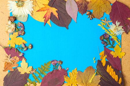 Back to school concept. Autumn frame of dry leaves. Copy space.の写真素材