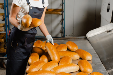 Baker's hands close-up. A baker in a bakery puts fresh bread in a box. Industrial bread production