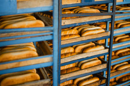 Shelves with hot fresh bread in a bakery. Industrial bread productionの写真素材