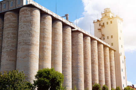 Concrete elevator, grain tank on a sunny sky backgroundの写真素材