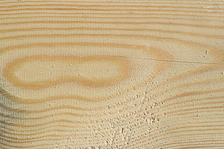 Wood texture with natural pine pattern.の写真素材