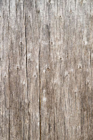 Wood texture with natural old pine.の写真素材