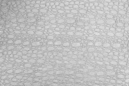 The texture of crocodile skin, crocodile skin imitation.の写真素材