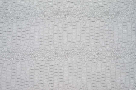 The texture of crocodile skin, crocodile skin imitation.の写真素材