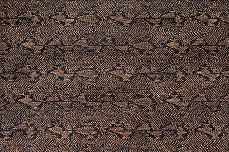 The texture of crocodile skin, crocodile skin imitation.の写真素材