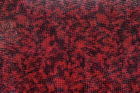 Texture of crocodile skin.の写真素材