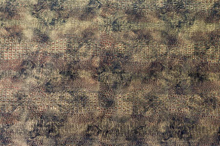 The texture of crocodile skin, crocodile skin imitation.の写真素材