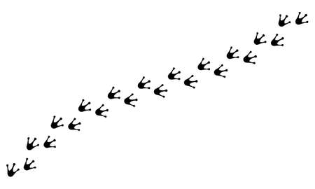 Tracks of frog paws isolated on white background. Vector illustrationのイラスト素材