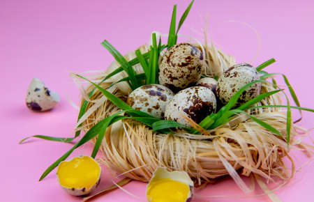 quail Easter eggs in a nest of straw and green grass on a pink background. Christ is risen. Happy easterの写真素材