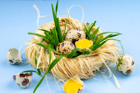 quail Easter eggs in a nest of straw and green grass on a blue background. Home interior decoration or holiday table decoration for Happy Easterの写真素材