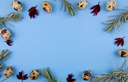 Top down view of text space on blue background with lavender sprigs and quail eggs. Easter holiday concept, congratulations and creative postcardの写真素材