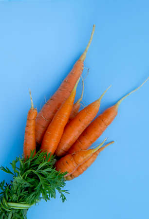 Colorful Rainbow carrot with their green leaves on light blue background, top viewの写真素材