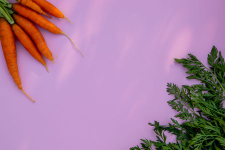 Top view of carrots with stems and leaves on a pink background. The concept of seasonal vegetables and vegan vegetable vitaminsの写真素材