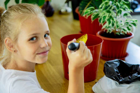 A child-a gardener girl pours the earth with a yellow shovel into a brown pot and smiles. Home gardening, love of indoor plants. Transplanting of domestic plants. Selective focus.の写真素材