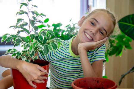 A cute little gardener girl hugs a pot of ficus and smiles. Home gardening, love of indoor plants.の写真素材