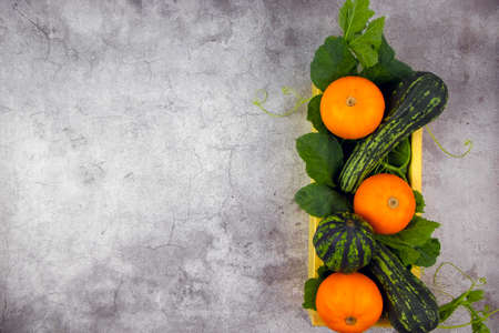 autumn harvest. Bright orange and green pumpkins in a wooden box on green leaves and a concrete gray background. The concept of a new harvest and Halloween decorationの写真素材