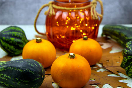 bright orange and green small pumpkins on the background of dry autumn leaves and a flashlight. Decoration for the Halloween holiday. The concept of a new harvest.の写真素材