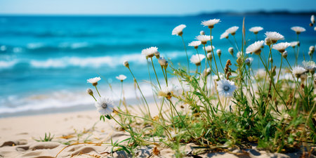 Beautiful flowers on the background of a warm summer sea or ocean and a tropical landscape. The concept of rest and relaxation. Banner.の素材