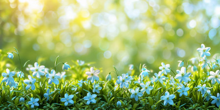 This delicate background with flowers reminds of the beginning of spring and the revival of all life after winter. Pastel colors, blue and green shades. The banner.の素材