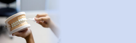 A dental professional guides a patient on proper brushing techniques using a model of teeth. This educational moment highlights the importance of oral care practices in a welcoming clinic atmosphere.の写真素材