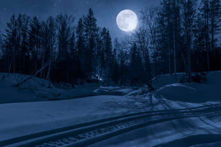 Snowmobile, forest path in the night under the moonlightの写真素材