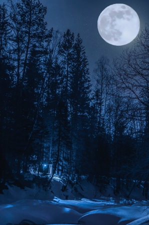 Hunting lodge in the winter forest in the light of the full moon