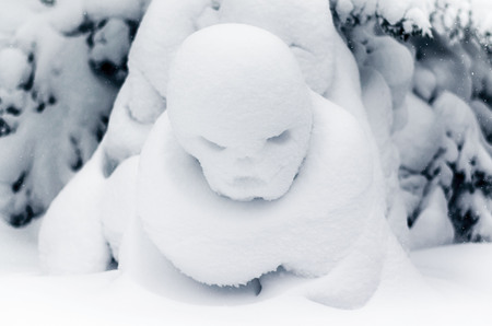 Forest, snow figureの写真素材