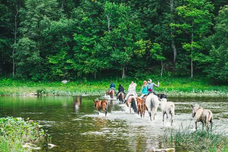 Crossing flocks of horses with tourists across the riverの写真素材